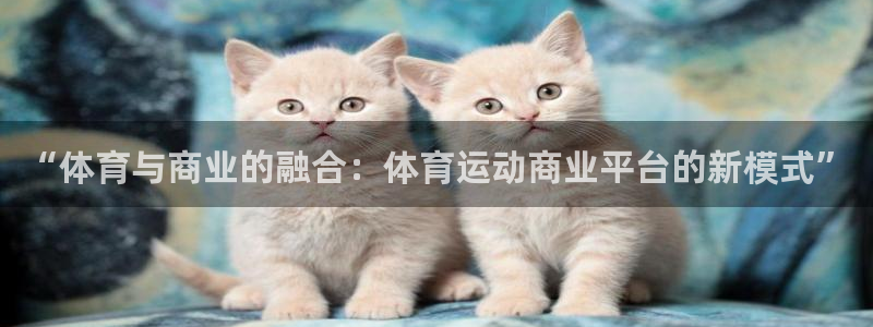 77体育官网
