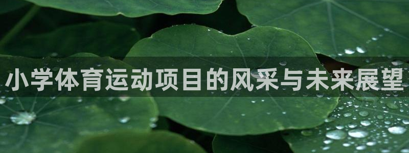 77体育app下载官网：小学体育运动项目的风采与未来展望