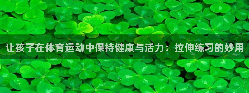77体育app下载官网：让孩子在体育运动中保持健康与活力：拉伸练习的妙用