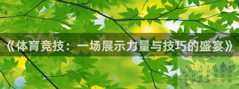 77体育app下载官网：《体育竞技：一场展示力量与技巧的盛宴》