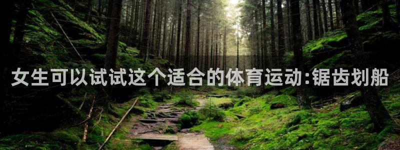 77体育app下载官网