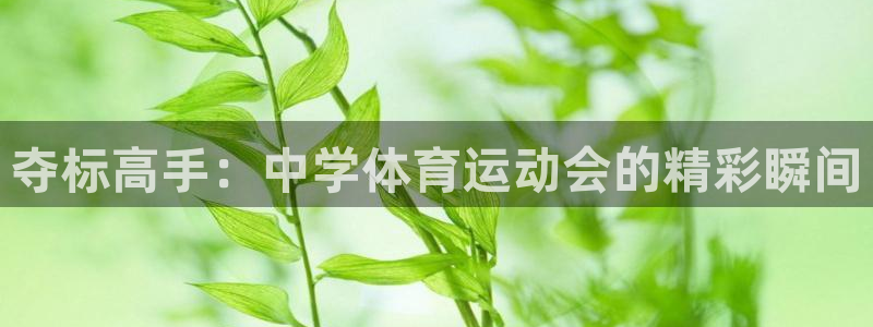 77体育app下载官网