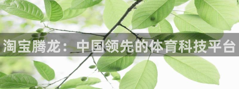 77体育：淘宝腾龙：中国领先的体育科技平台