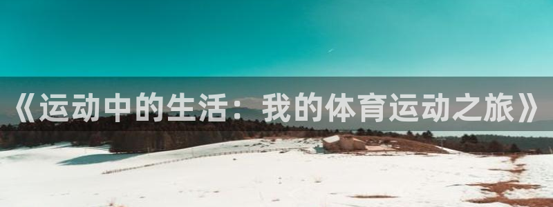 77体育：《运动中的生活：我的体育运动之旅》