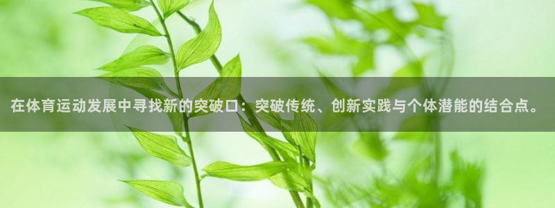 77体育app下载官网