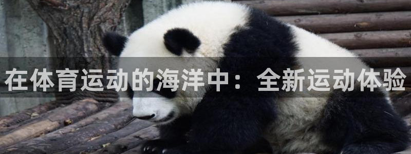 77体育：在体育运动的海洋中：全新运动体验
